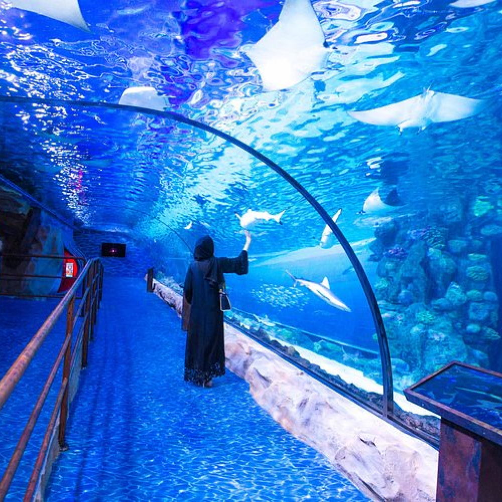 Dubai Aquarium and Underwater Zoo