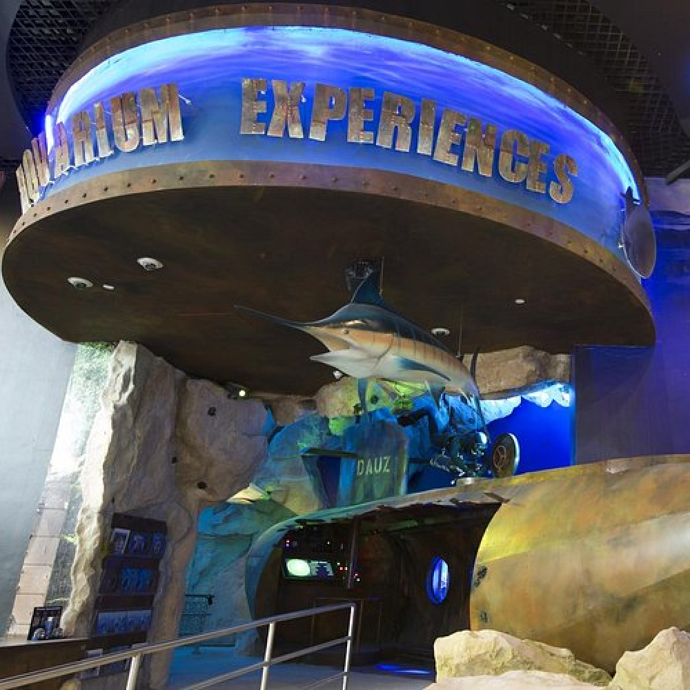 Dubai Aquarium and Underwater Zoo - Image 2