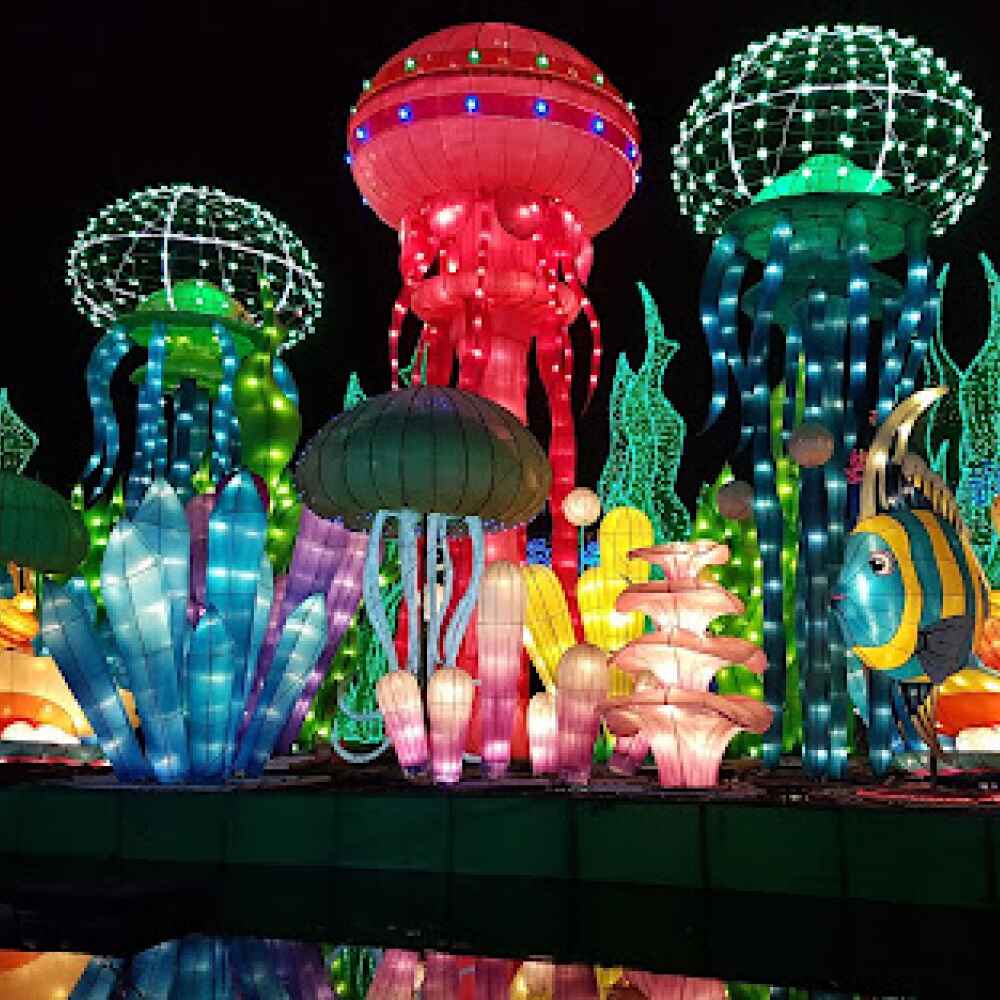 Glow Garden