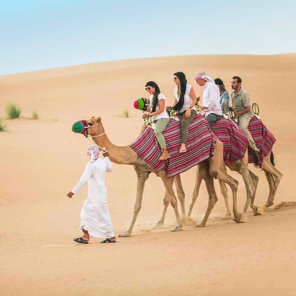 Morning Safari - Image 3