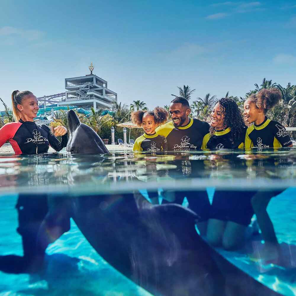 Dolphin Bay Atlantis - Image 3