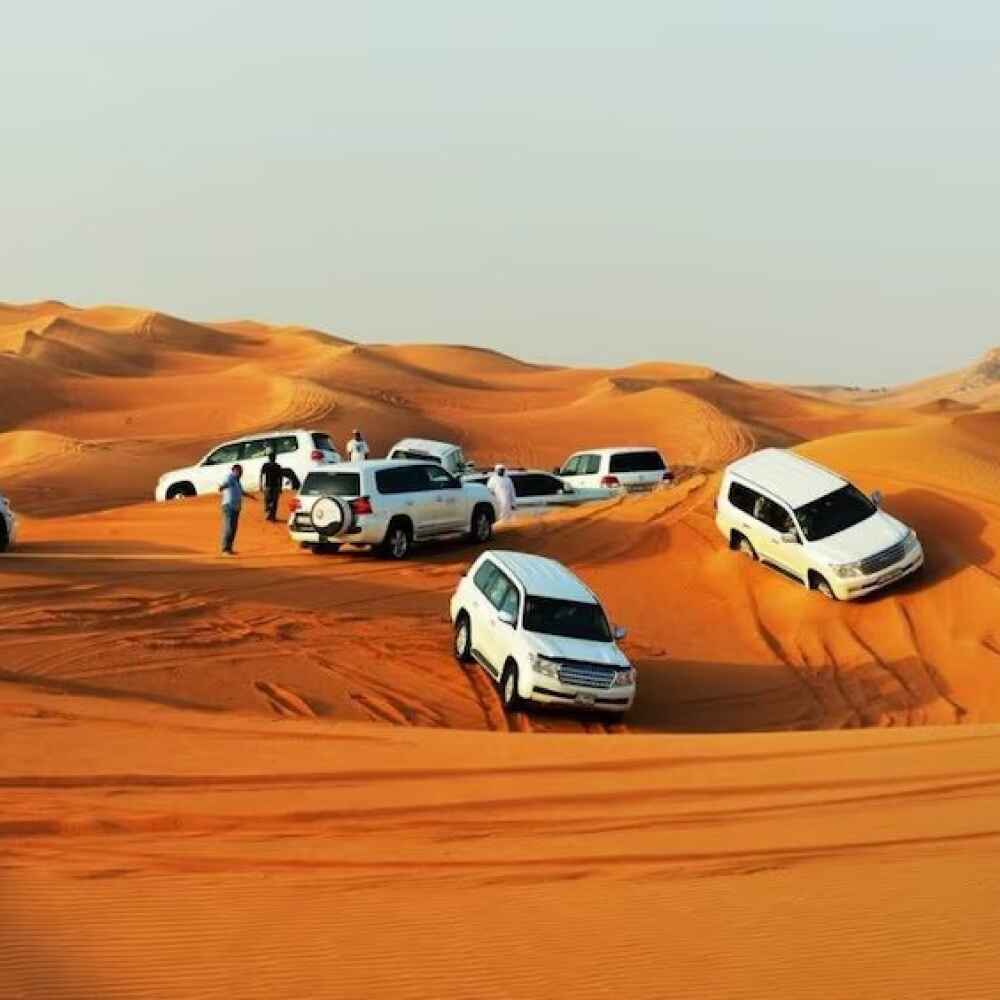 Premium Desert Safari - Image 3