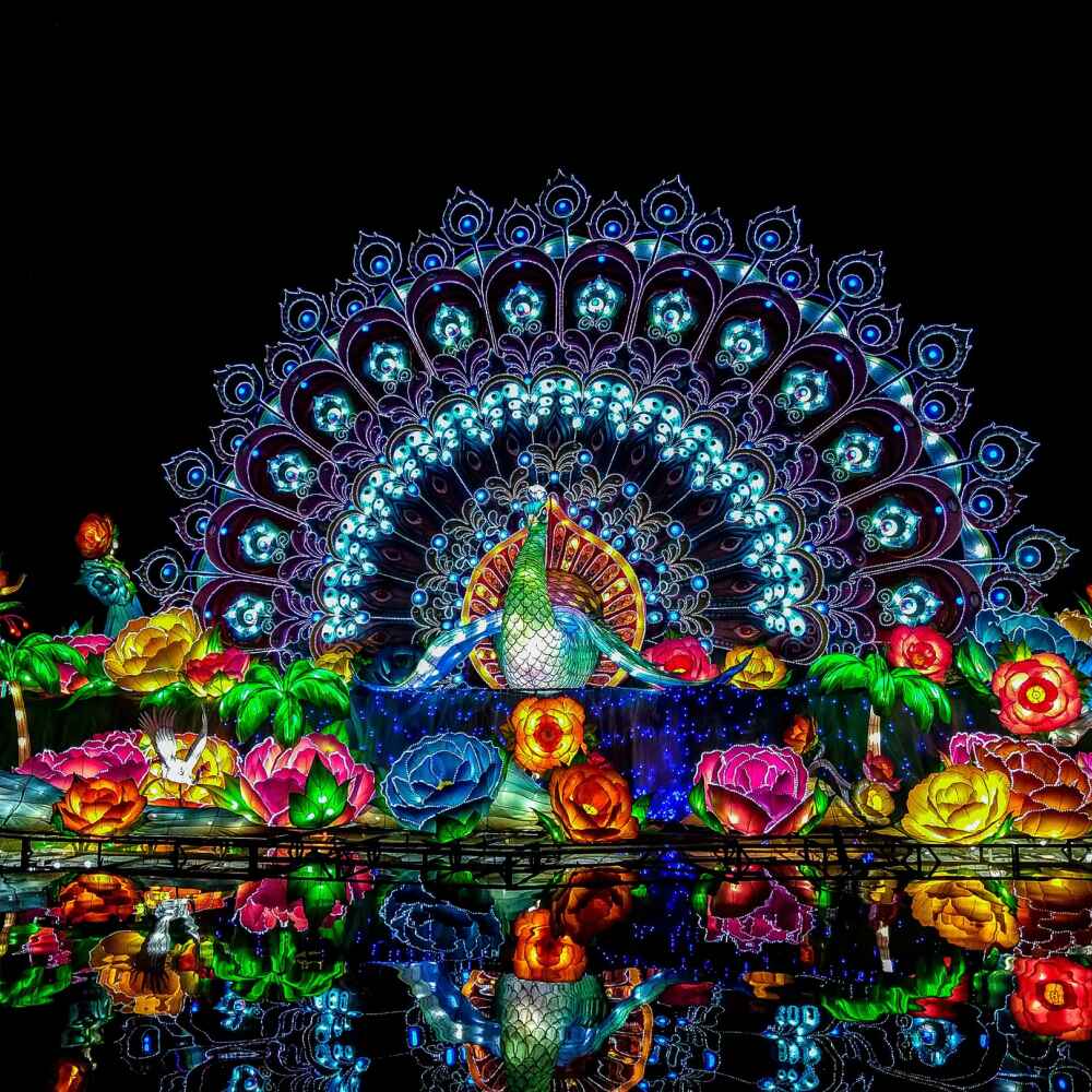 Glow Garden - Image 2