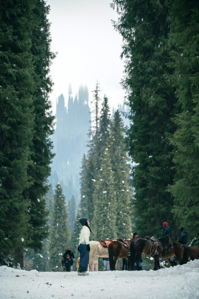 people-with-horses-in-a-snowy-forest-setting-mlz9cdtxdda
